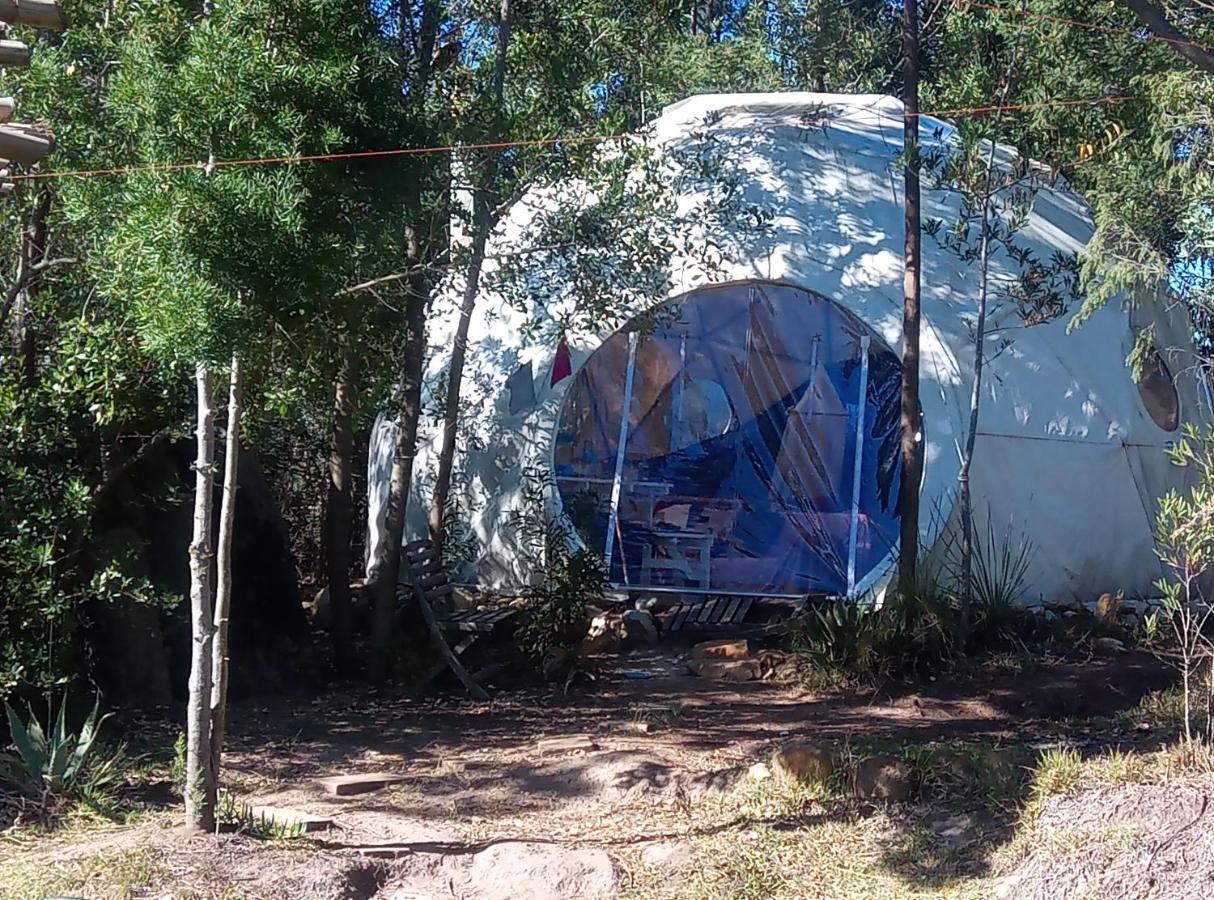 Forest Harmony Knysna Exterior photo
