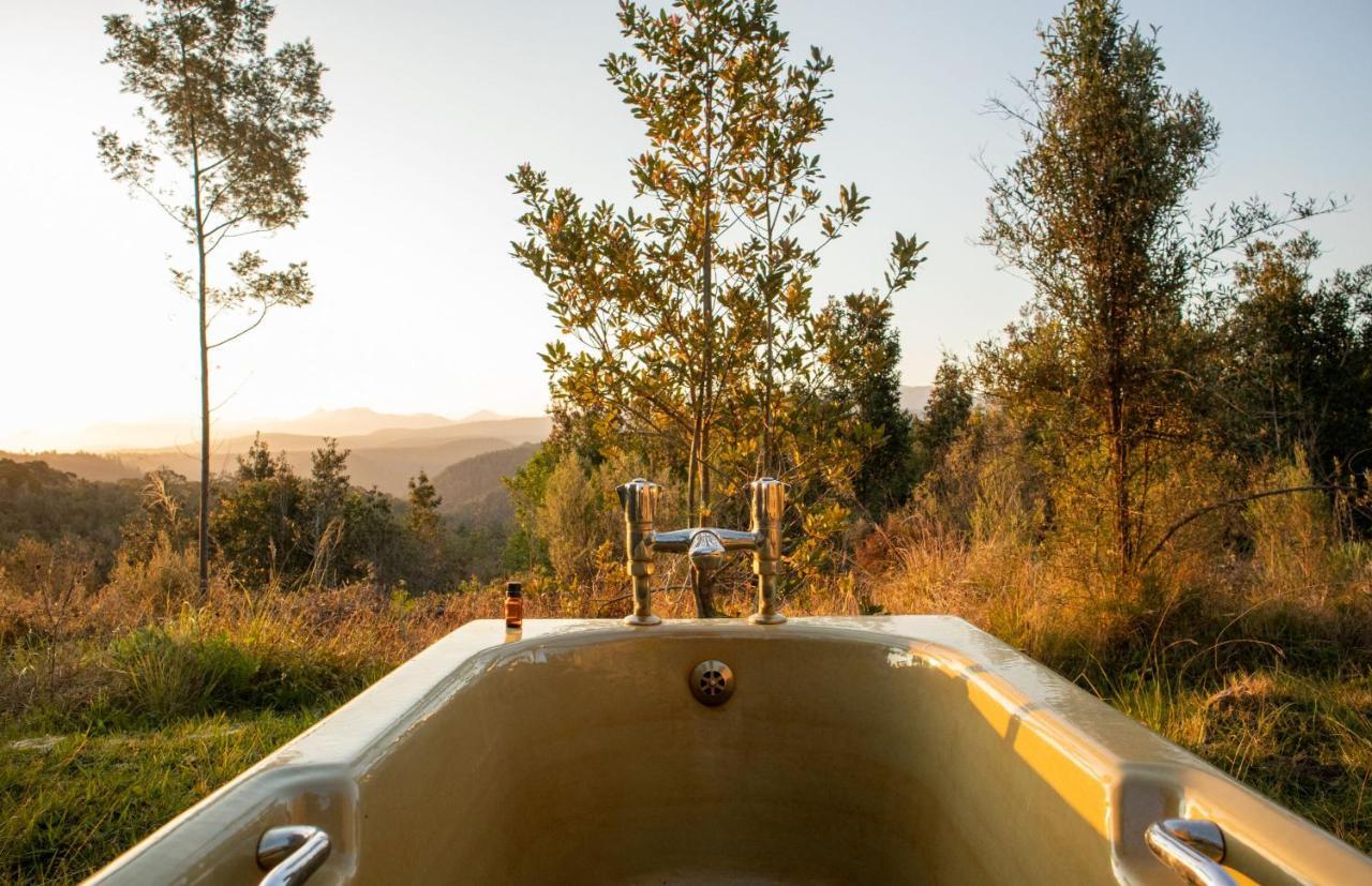 Forest Harmony Knysna Exterior photo