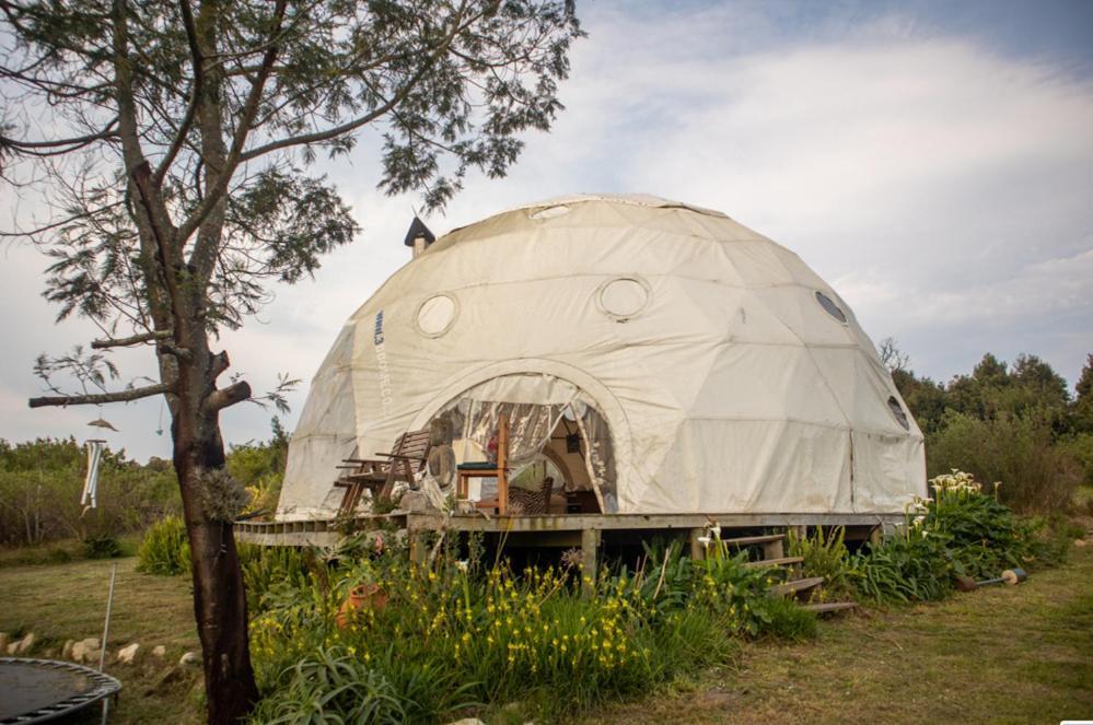 Forest Harmony Knysna Exterior photo