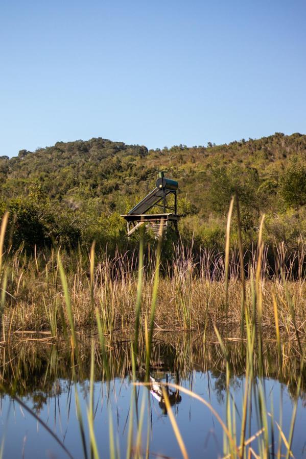 Forest Harmony Knysna Exterior photo