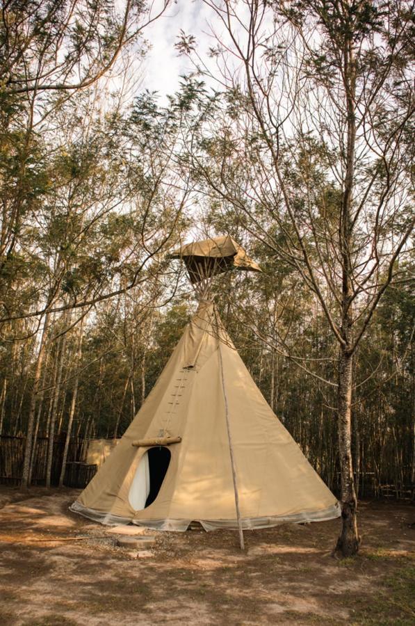 Forest Harmony Knysna Exterior photo
