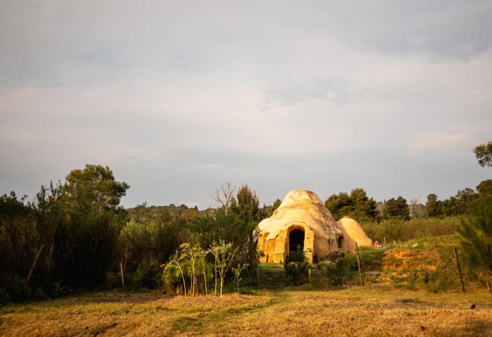 Forest Harmony Knysna Exterior photo