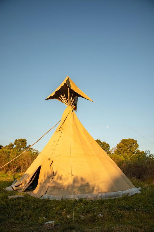 Forest Harmony Knysna Exterior photo