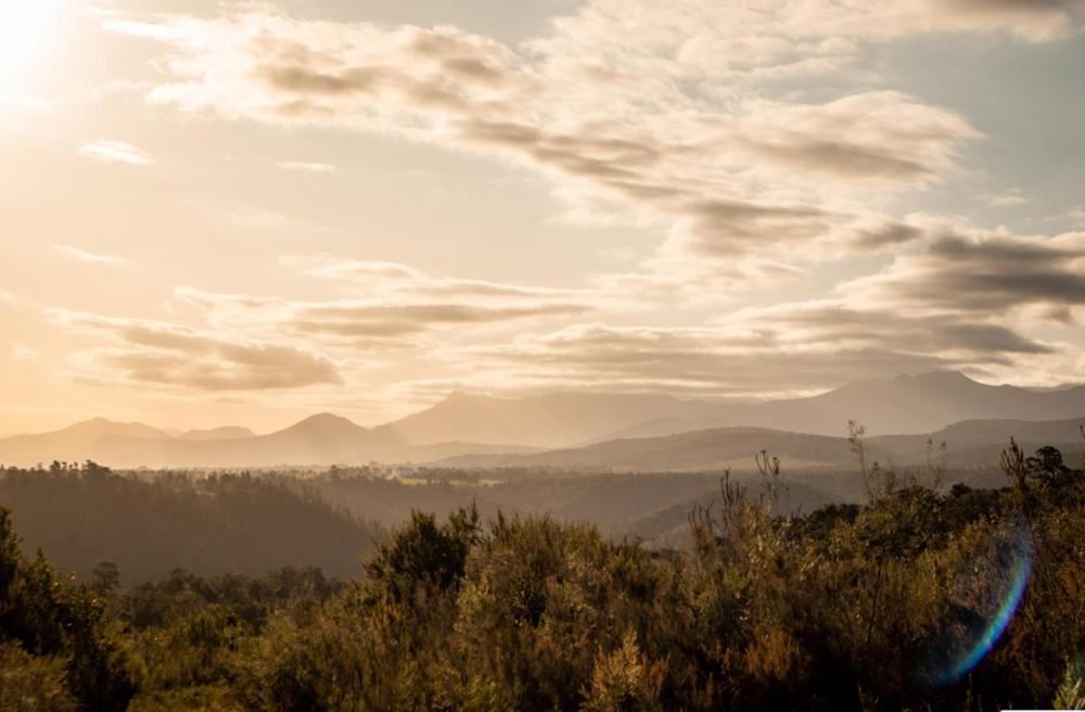 Forest Harmony Knysna Exterior photo
